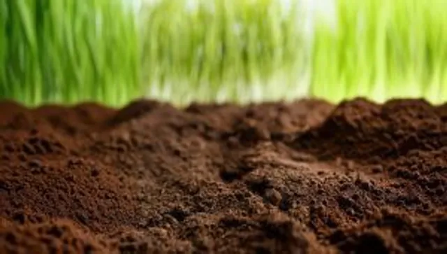 MATERIA ORGÁNICA COMPOSTADA